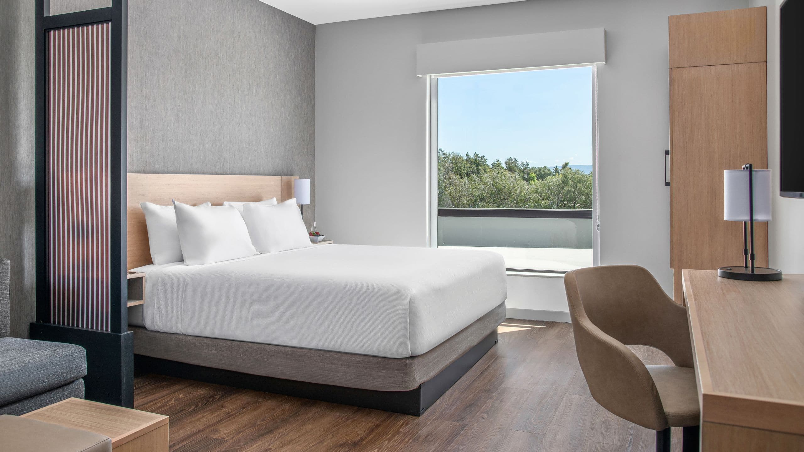 King Bed (Plus Sofa Bed) - Image 2