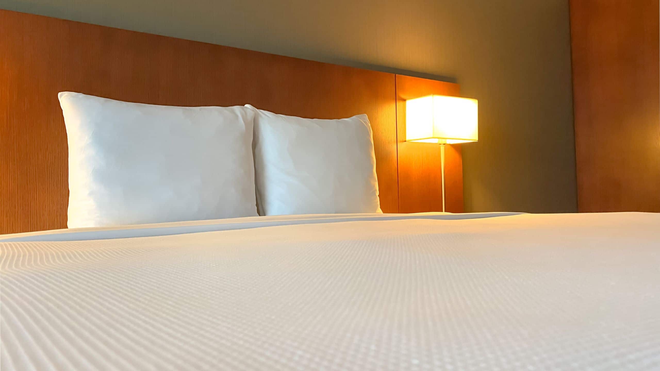 Hyatt Place King (with sofa bed) - Image 2