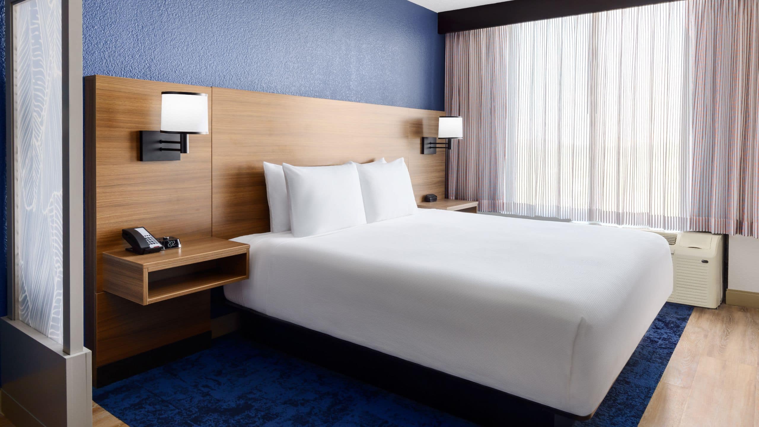 Accessible King Bed/Roll-In Shower (plus sofa bed) - Image 1