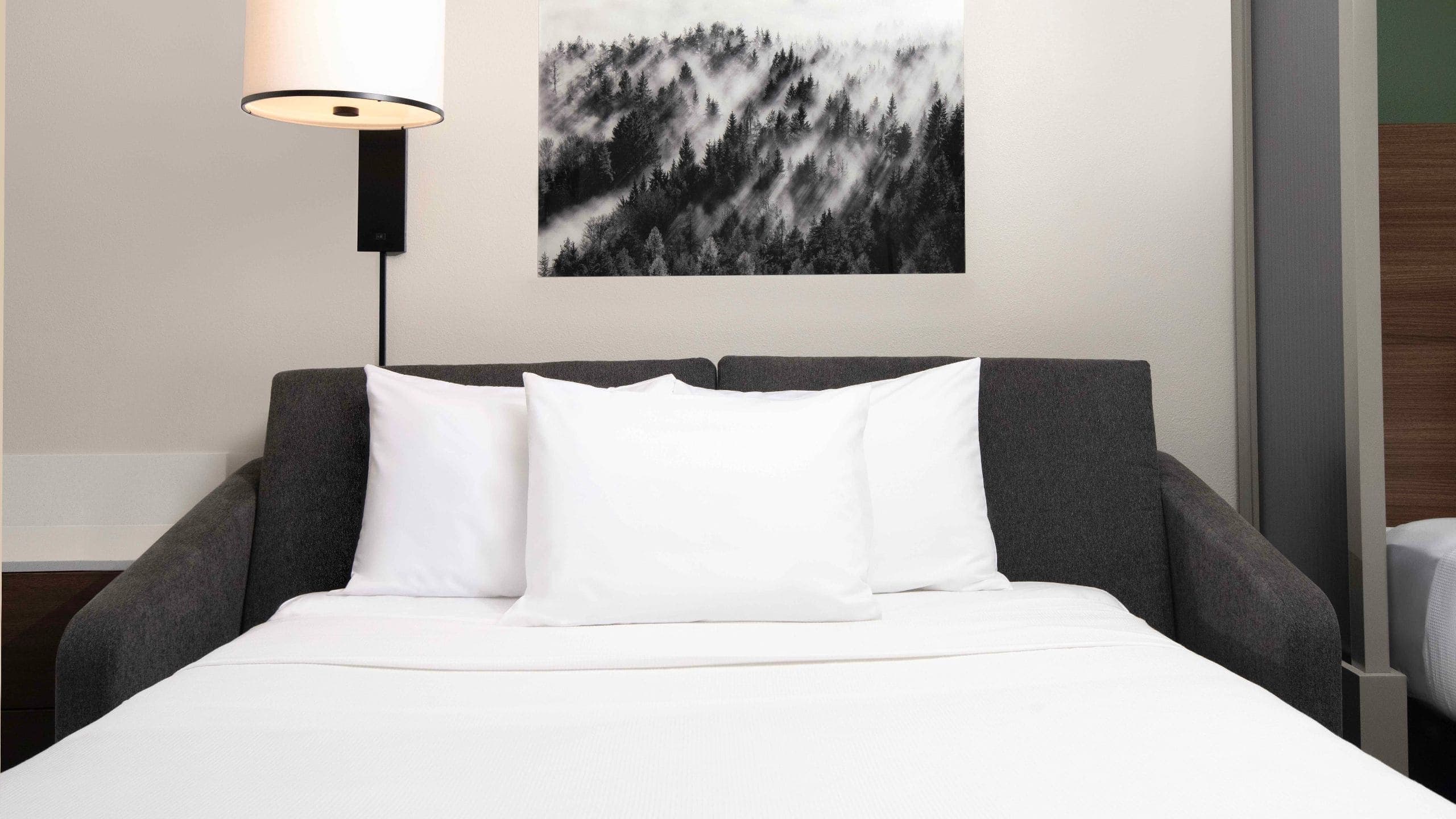 Two Queen Beds (with sofa bed) - Image 4