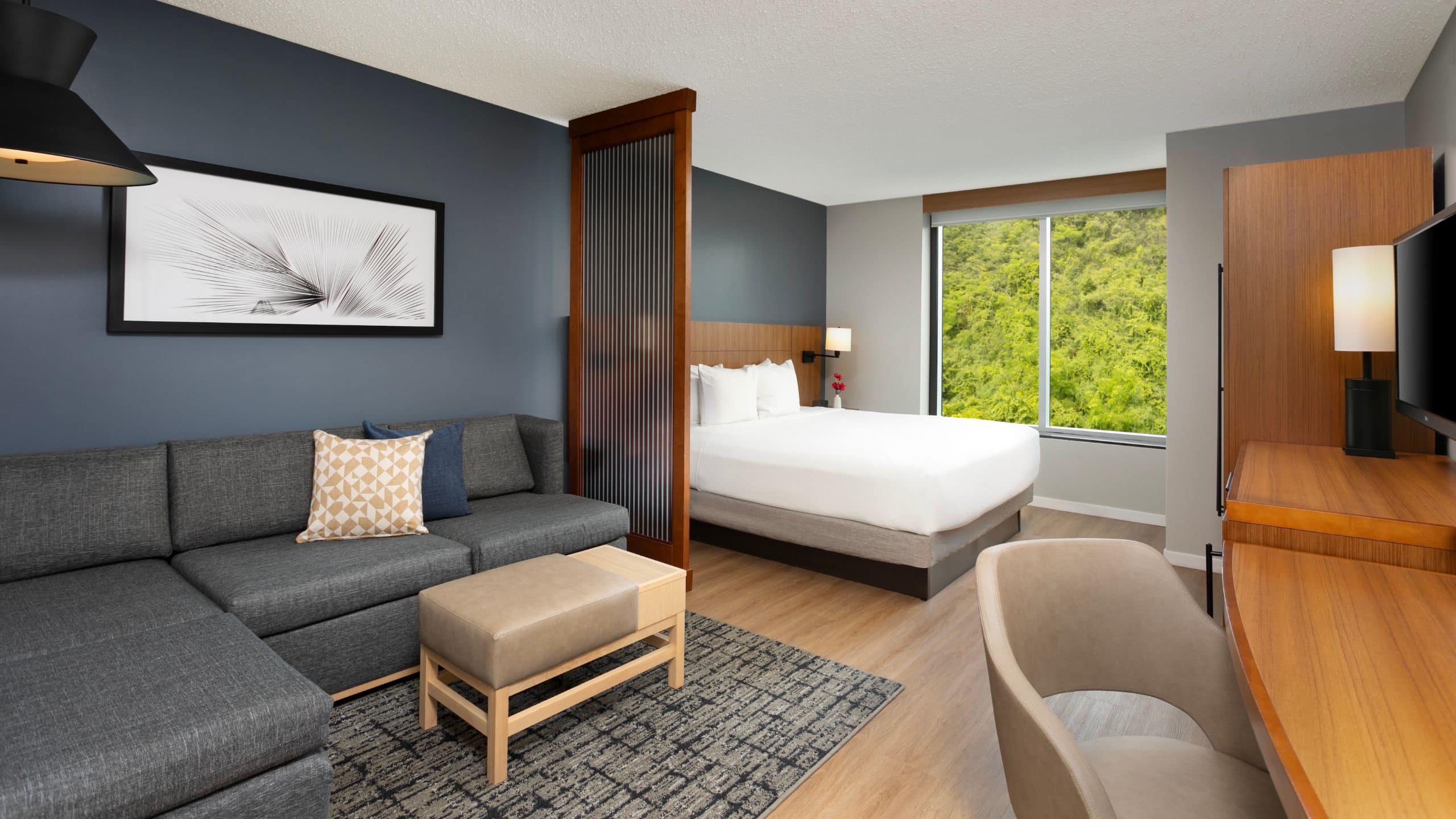 King Bed (With Sofa Bed) - Image 1