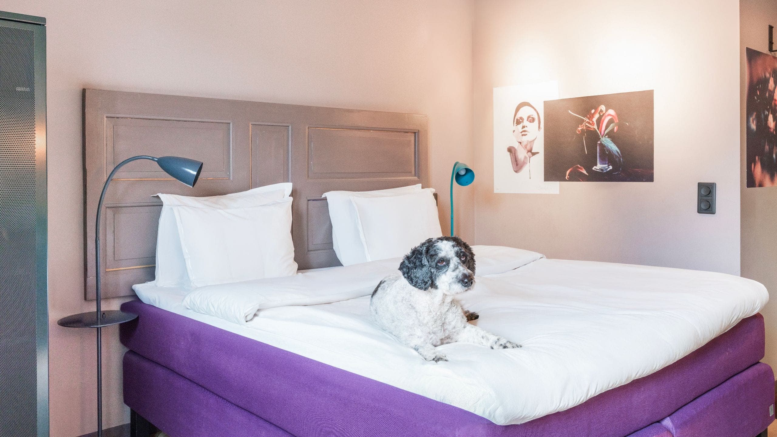 1 King Bed Room - Image 3