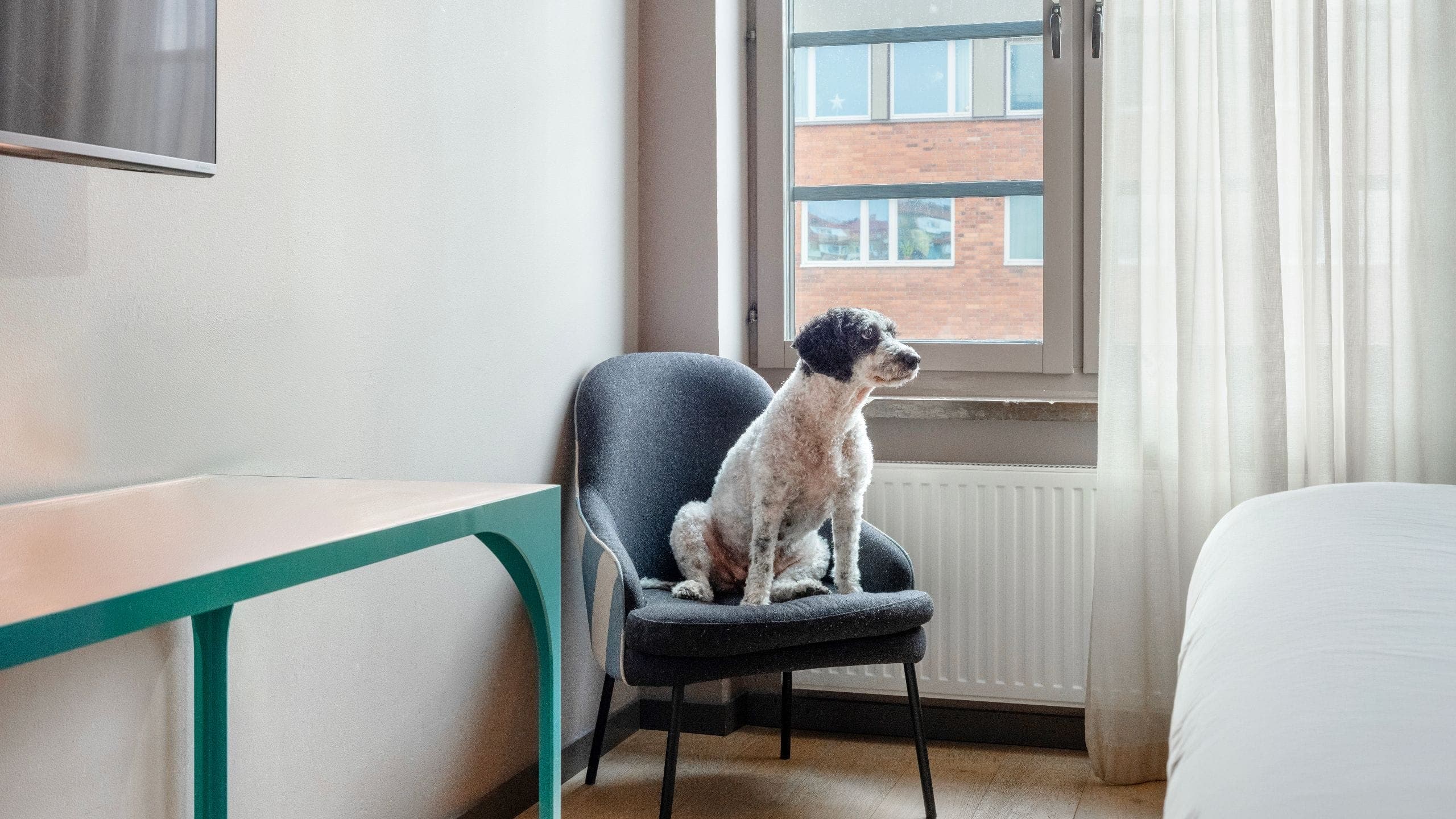 1 King Bed Room - Image 4