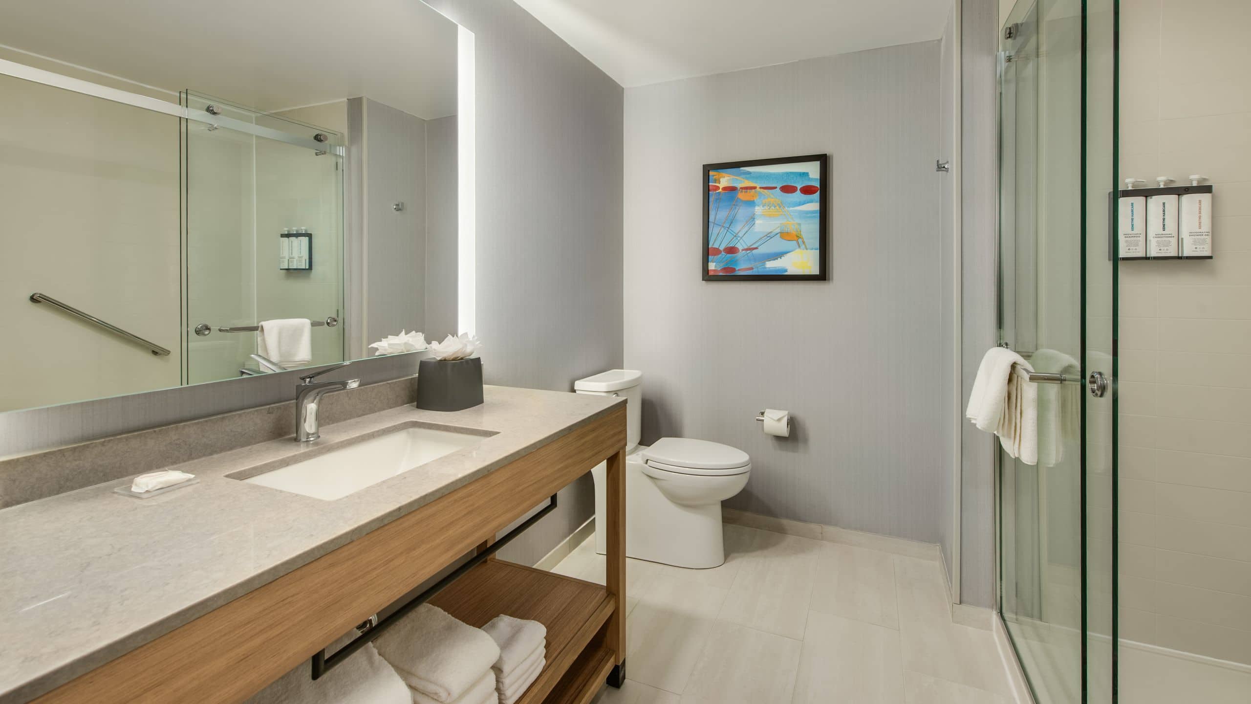 City View / King Bed - Image 3