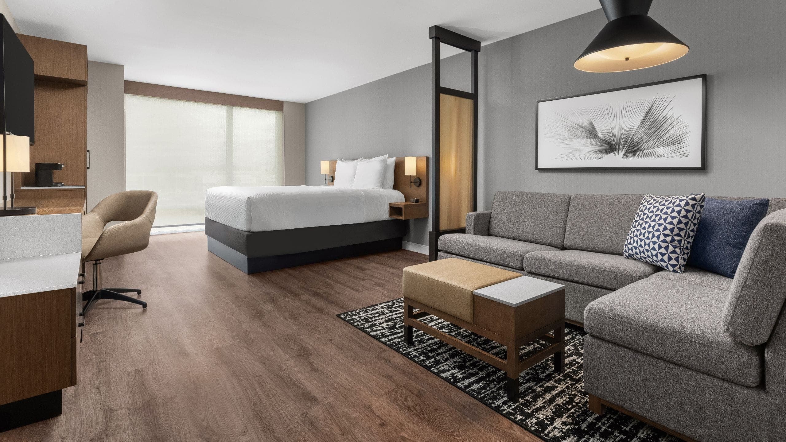 Accessible 1 King Bed Roll-In Shower with Sofabed - Image 3