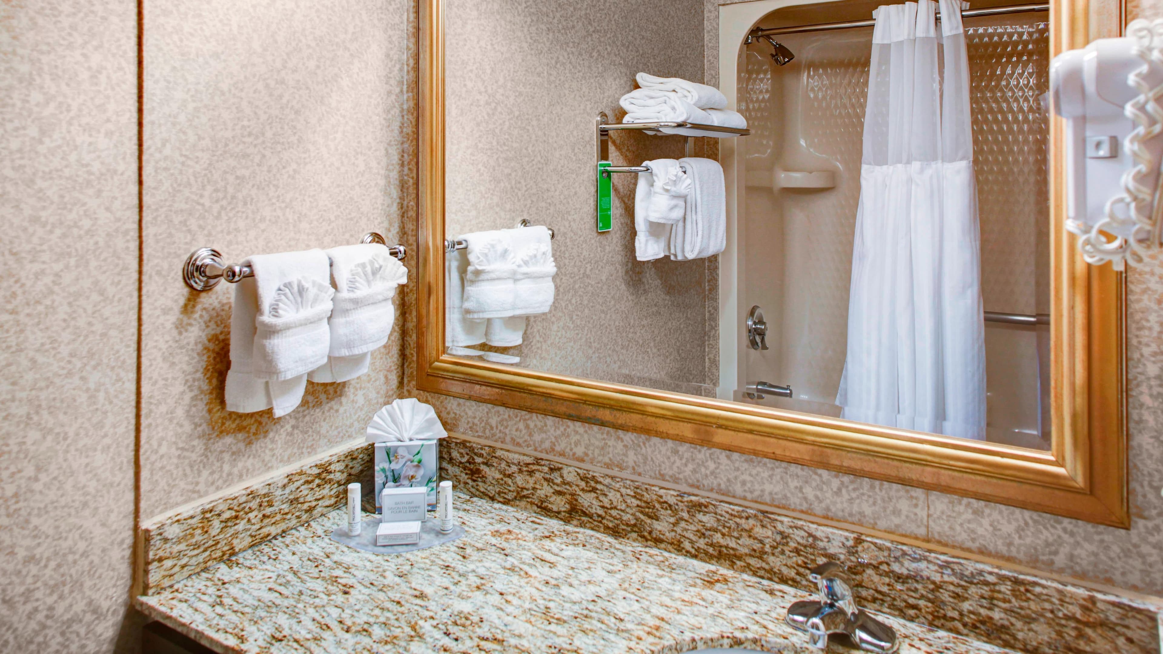 1 Bedroom Suite - Image 4