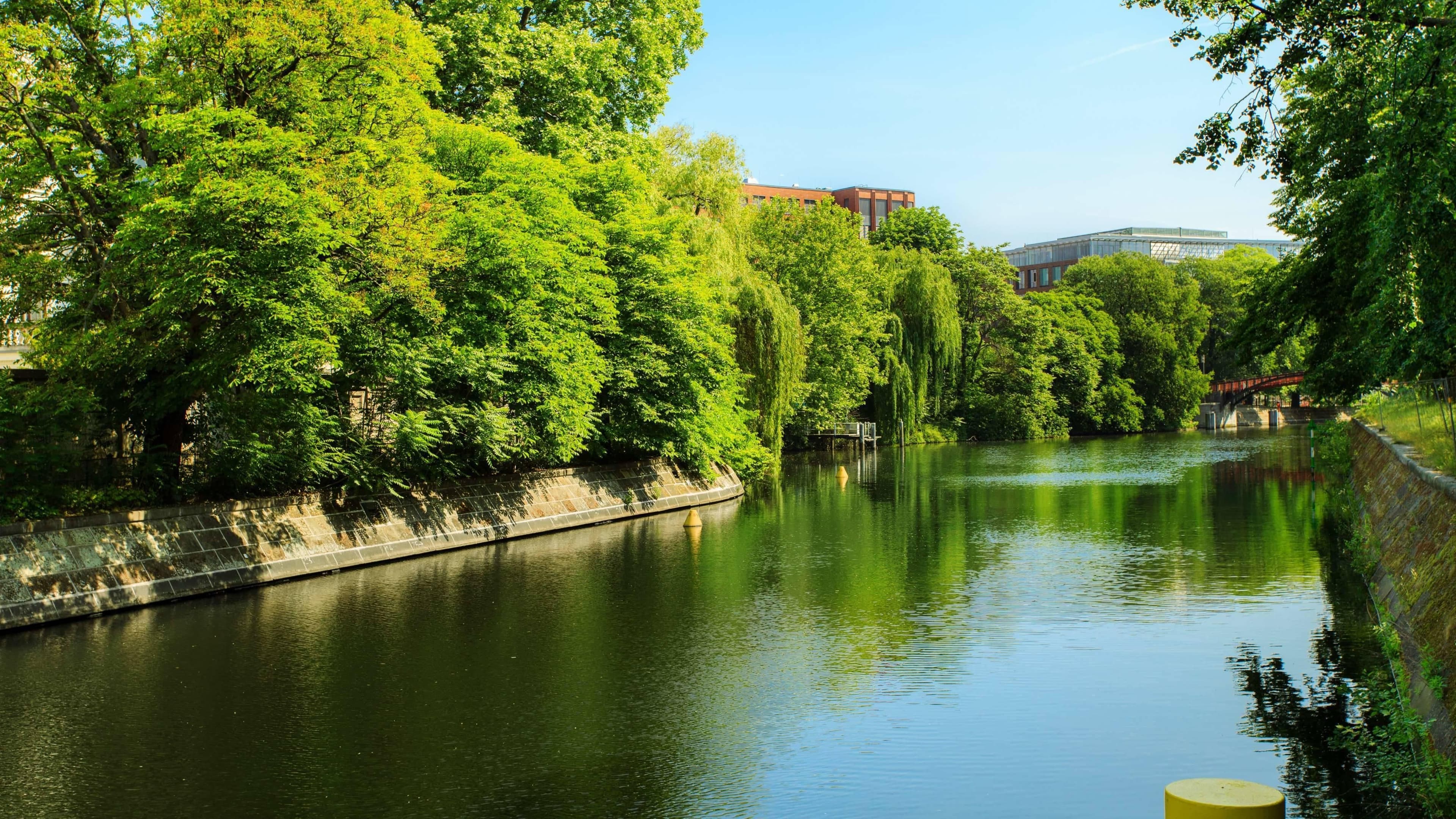 Classic Room - Image 5