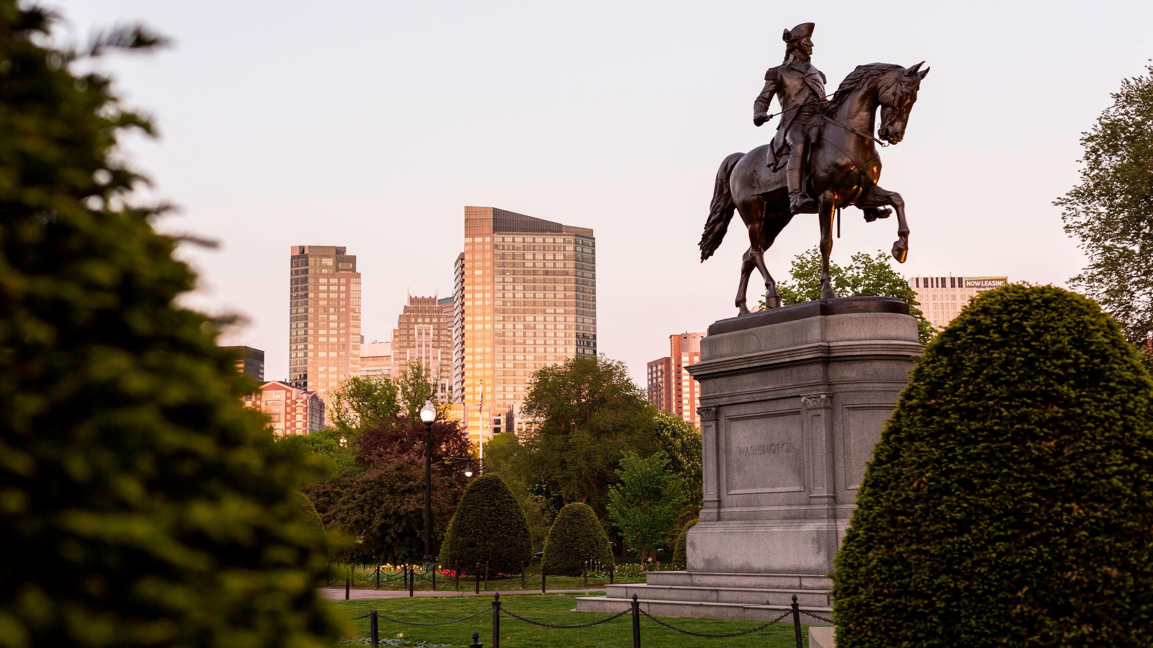 Terrace View - Image 3