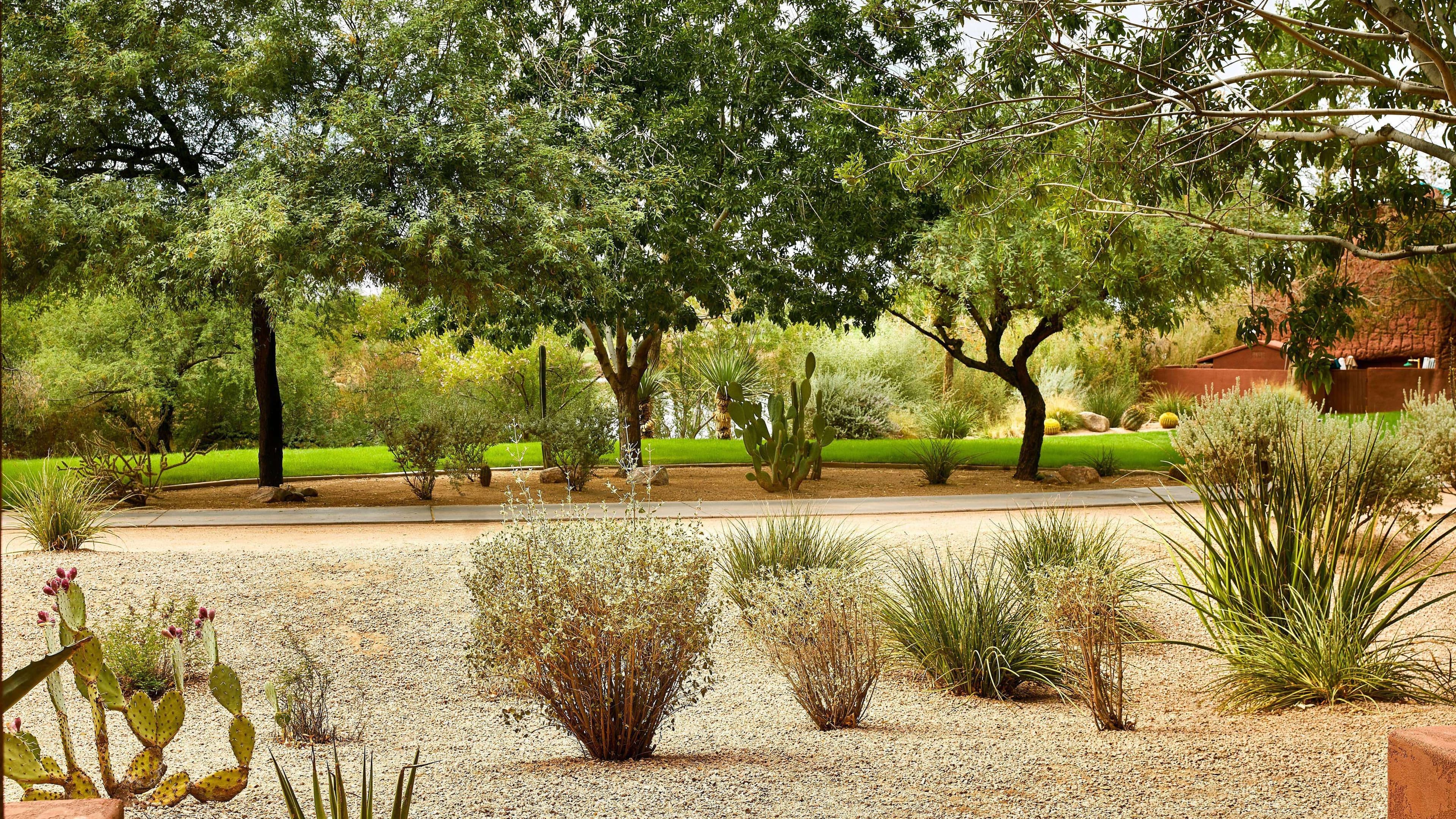 Deluxe Guest room - Image 5