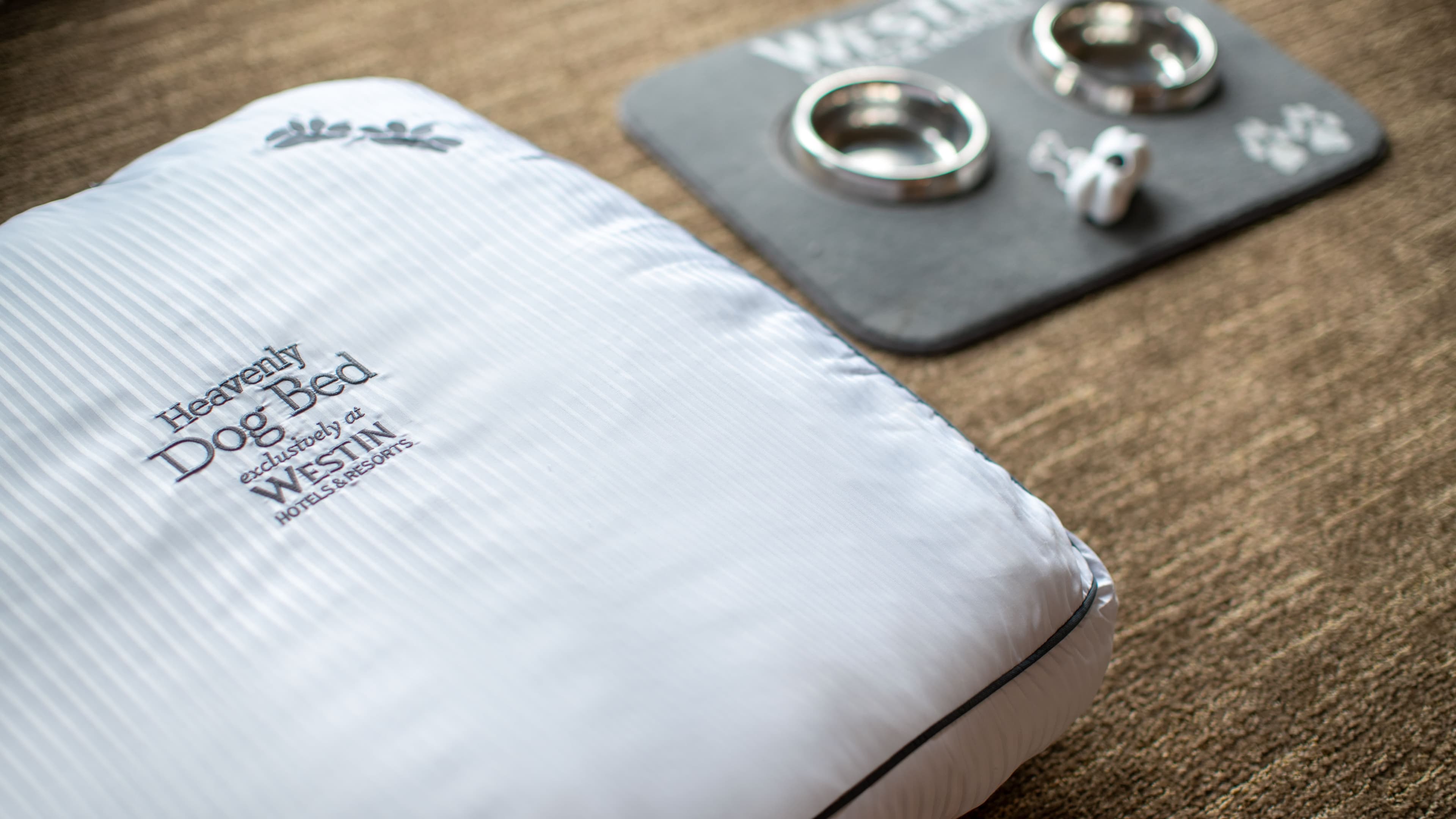 Traditional - Image 11