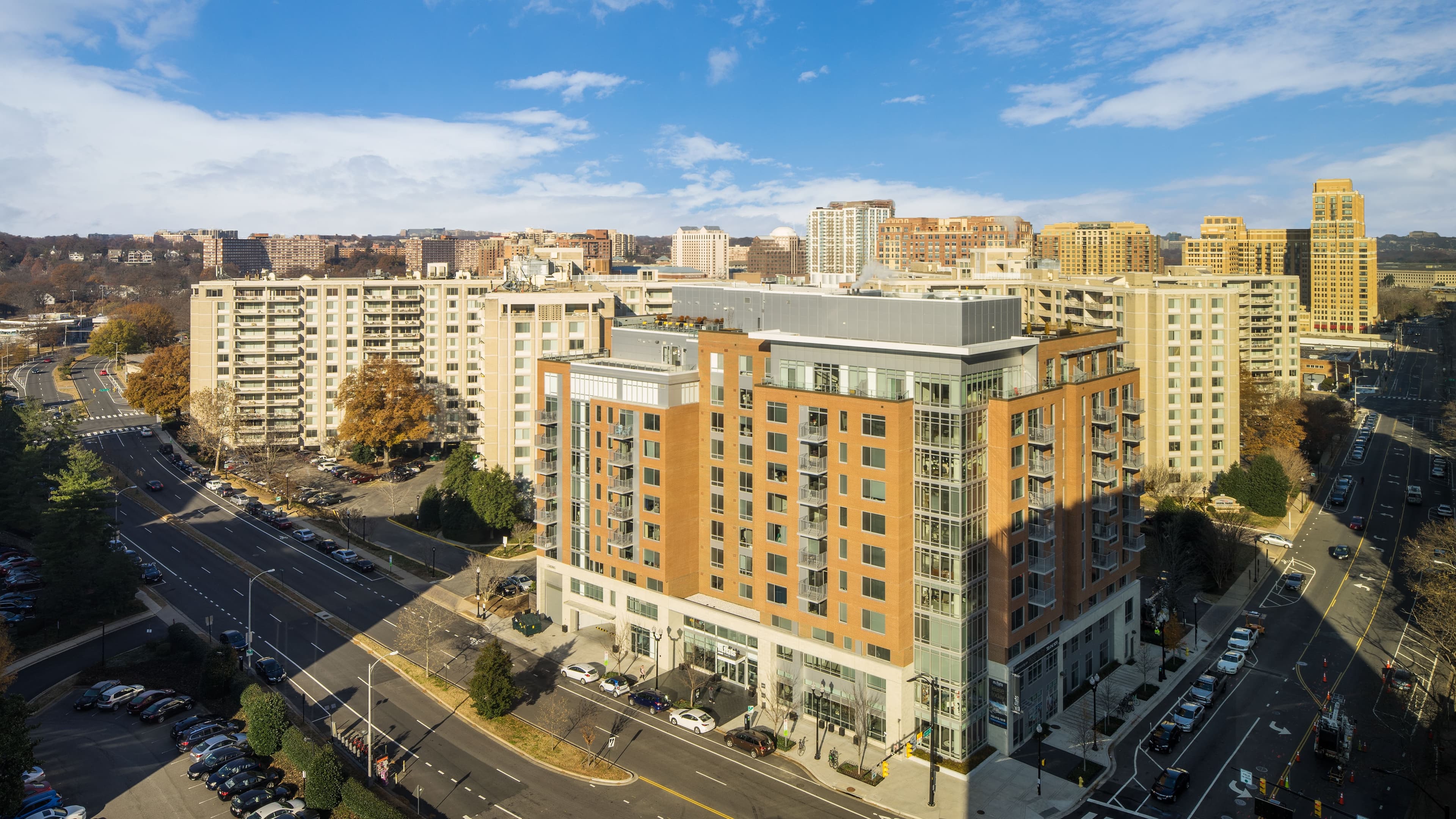 Traditional - Image 6