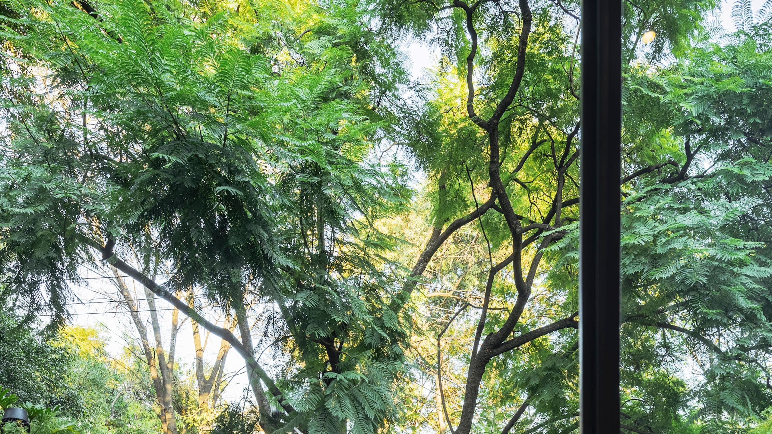 Deluxe Room - Image 1