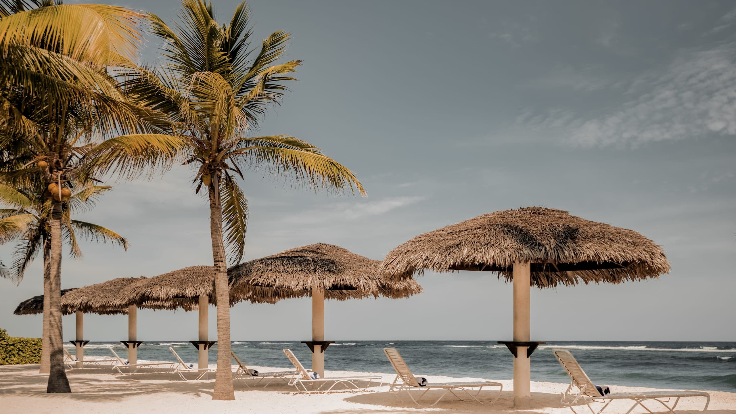 Beach Club Studio - Image 4