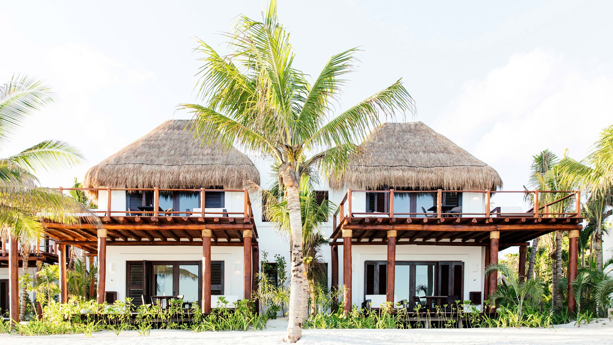 Beach Suite - Image 4