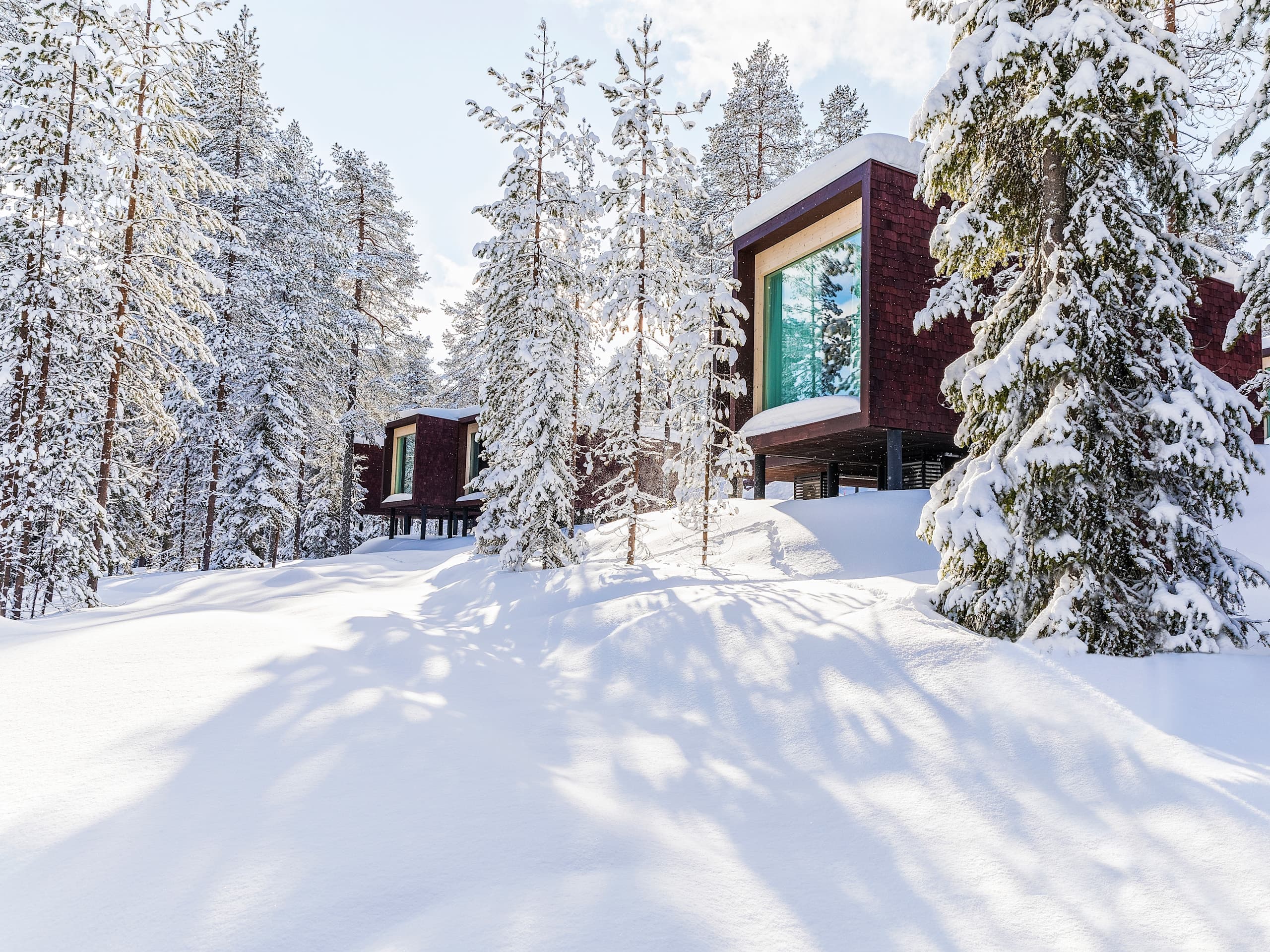 Arctic Treehouse Hotel
