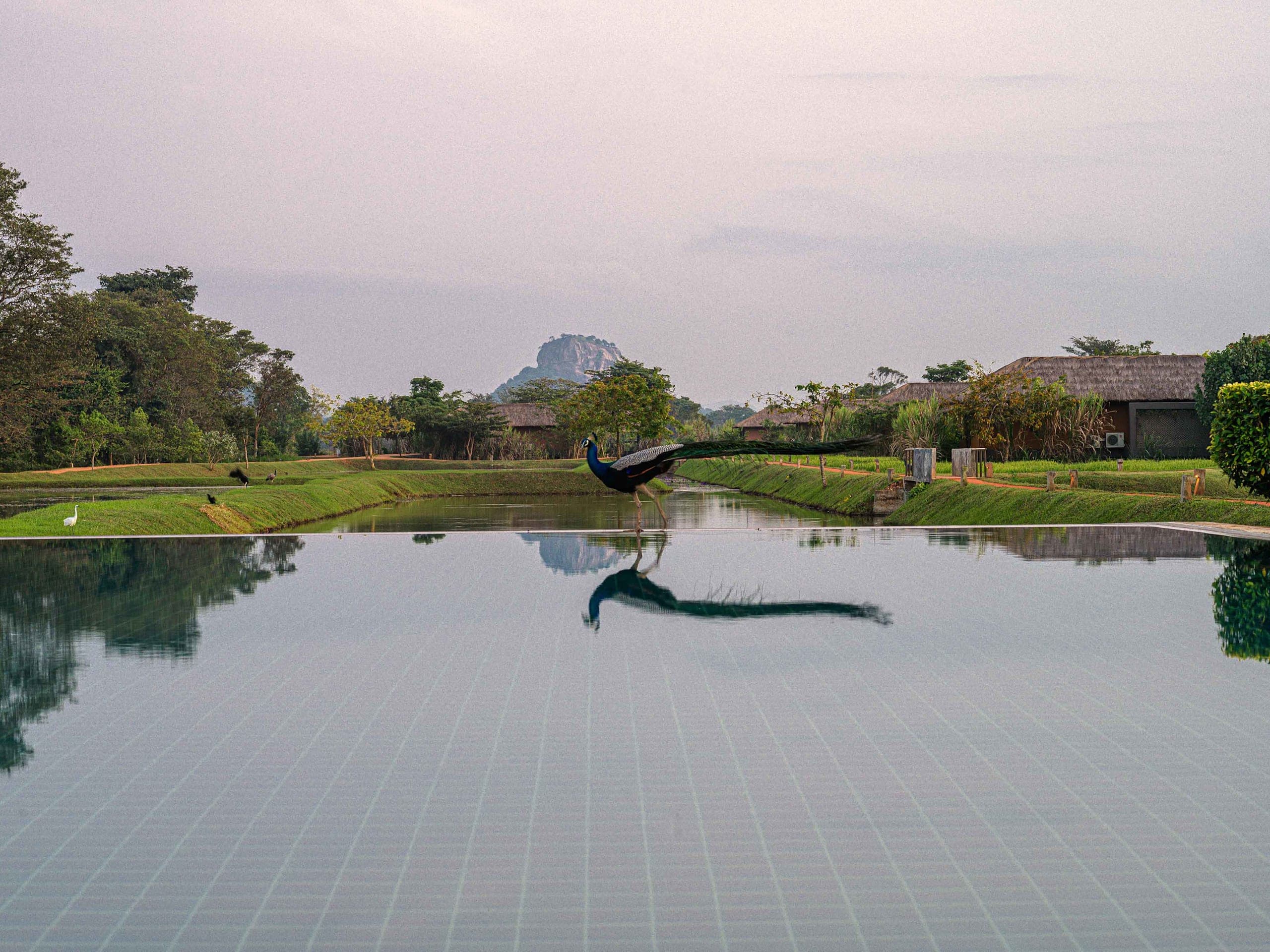 Water Garden Sigiriya
