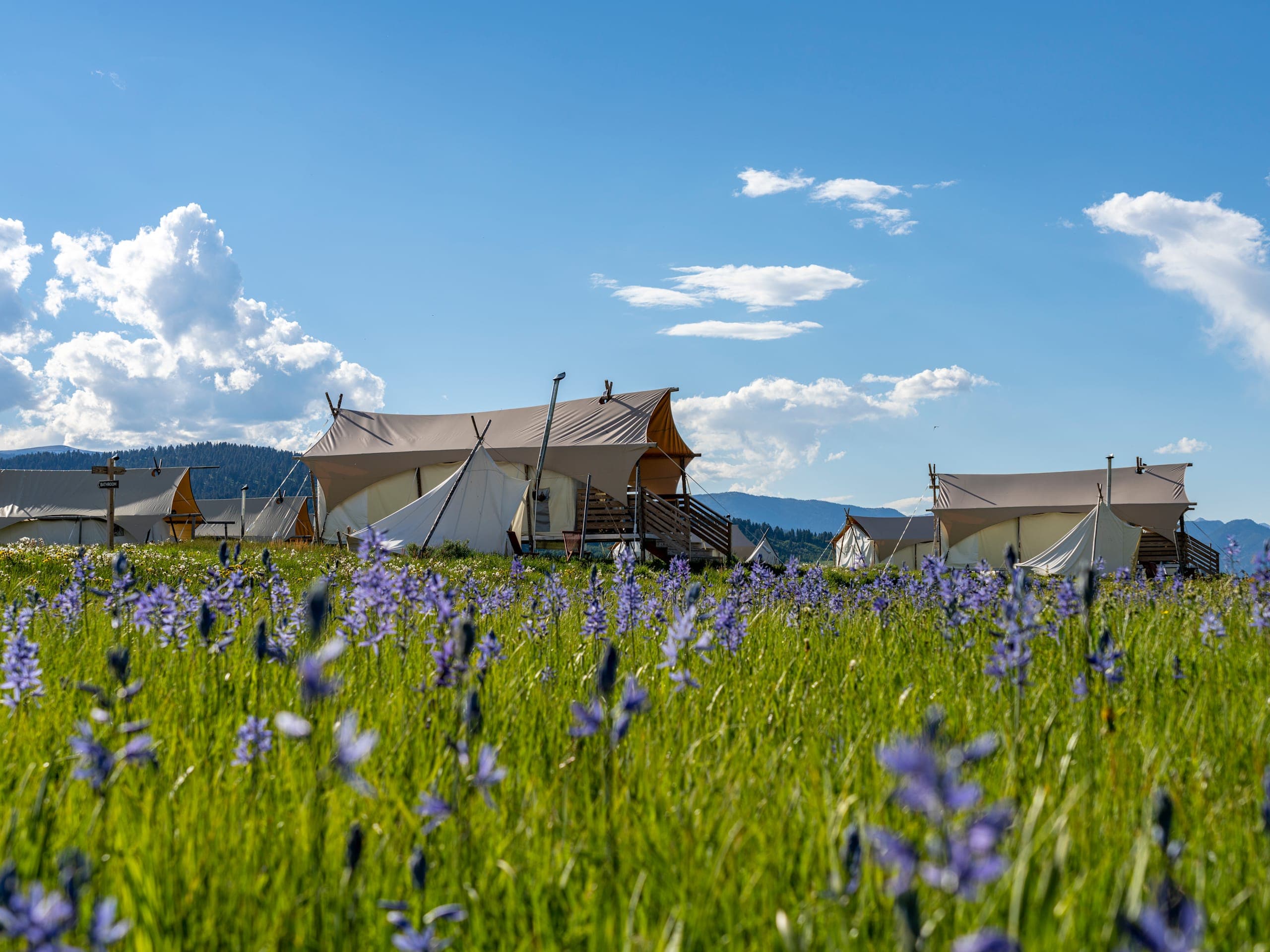 Under Canvas West Yellowstone